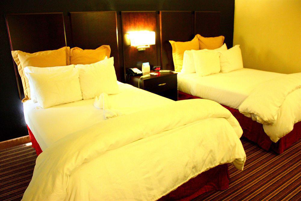 Wyndham Garden Norfolk Downtown Hotel Bagian luar foto