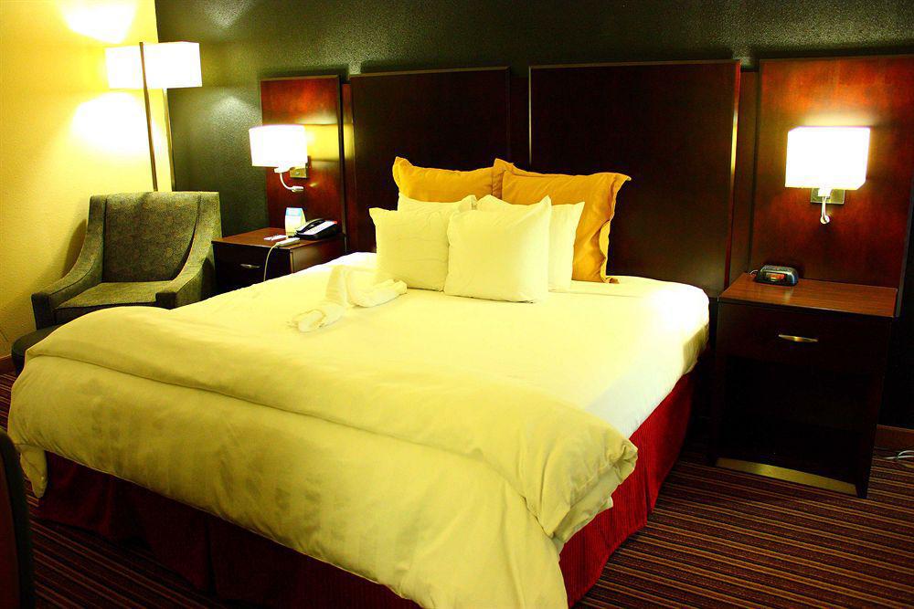 Wyndham Garden Norfolk Downtown Hotel Bagian luar foto