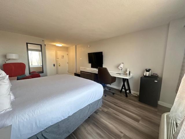 Wyndham Garden Norfolk Downtown Hotel Bagian luar foto
